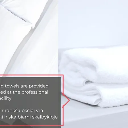 Apartament Diplomatica I High Ceilings I Parking I Easy Check-in I Cohost Kowno