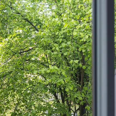Apartment Villa Diplomatica I High Ceilings I Parking I Easy Check-In I Cohost Kaunas