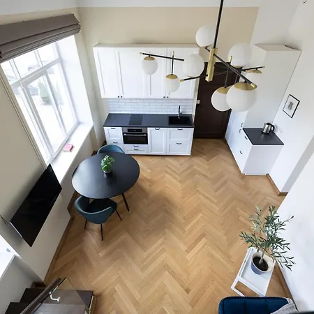Diplomatica I High Ceilings I Parking I Easy Check-in I Cohost * カウナス