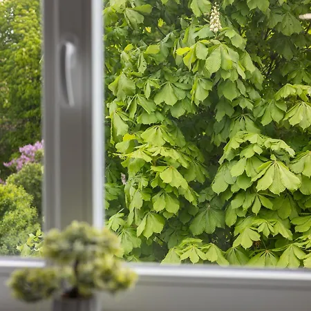 Diplomatica I High Ceilings I Parking I Easy Check-in I Cohost * Kowno