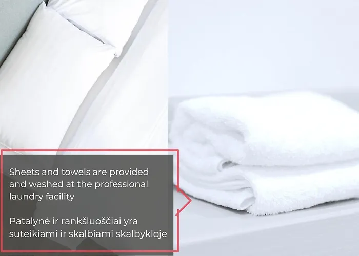 アパート Diplomatica I High Ceilings I Parking I Easy Check-in I Cohost カウナス