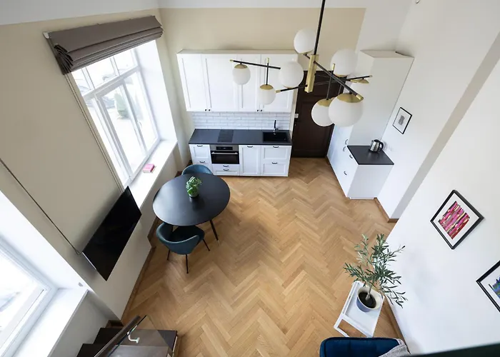 Diplomatica I High Ceilings I Parking I Easy Check-in I Cohost * カウナス